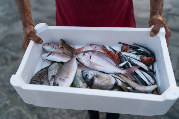 Napoli, fisherman and his catch