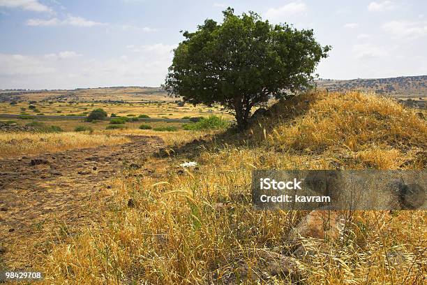 Hills And Fields Stock Photo - Download Image Now - Animal Wildlife, Autumn, Backgrounds