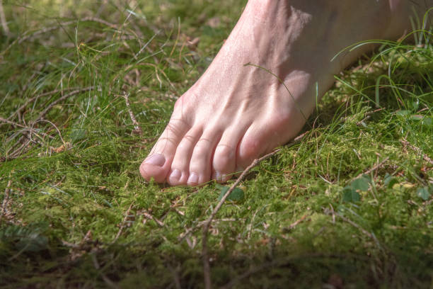 istock feet on the nature 984297908
