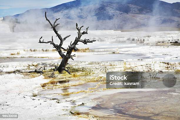 Foto de Improbably Fantástica Paisagem e mais fotos de stock de Calor - Calor, Cor Preta, Cálcio