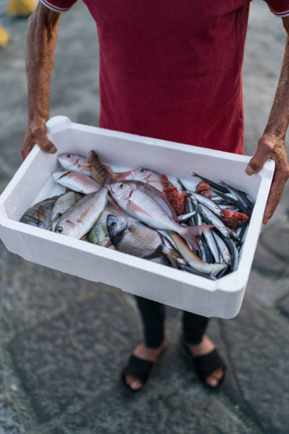 istock Napoli, fisherman and his catch 984300942