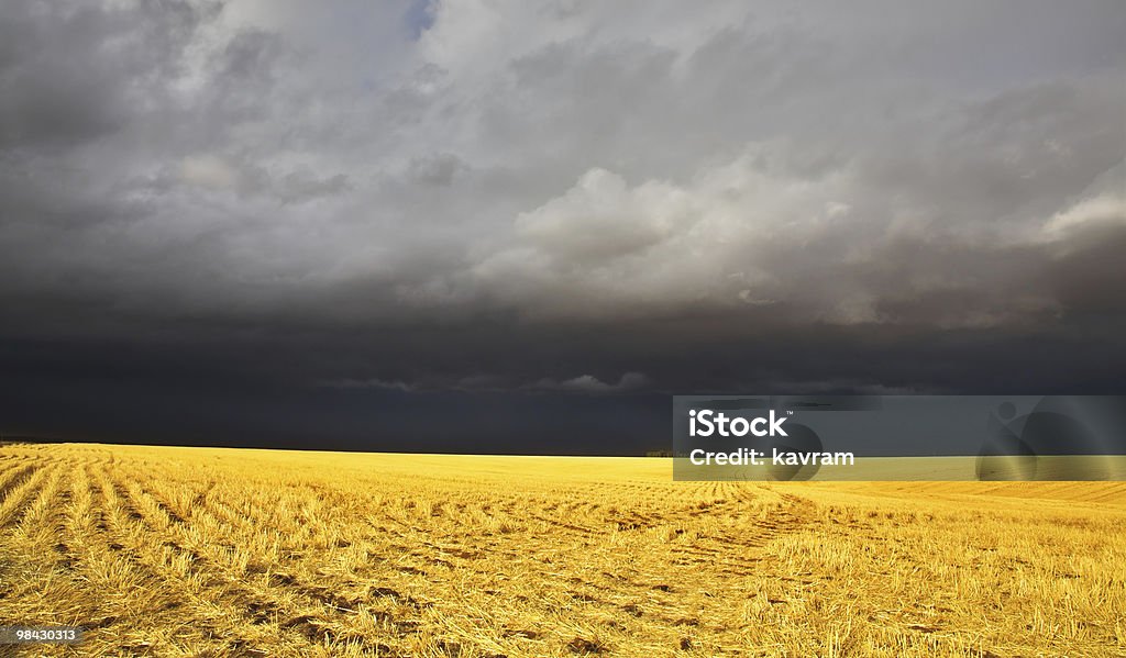 O TROVÃO-storm em Campo - Royalty-free Agricultura Foto de stock