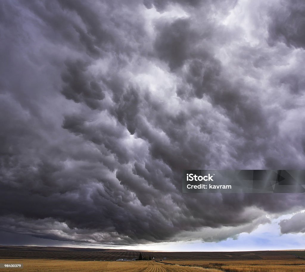 Nube de tormenta sobre un enorme campo - Foto de stock de Agricultura libre de derechos