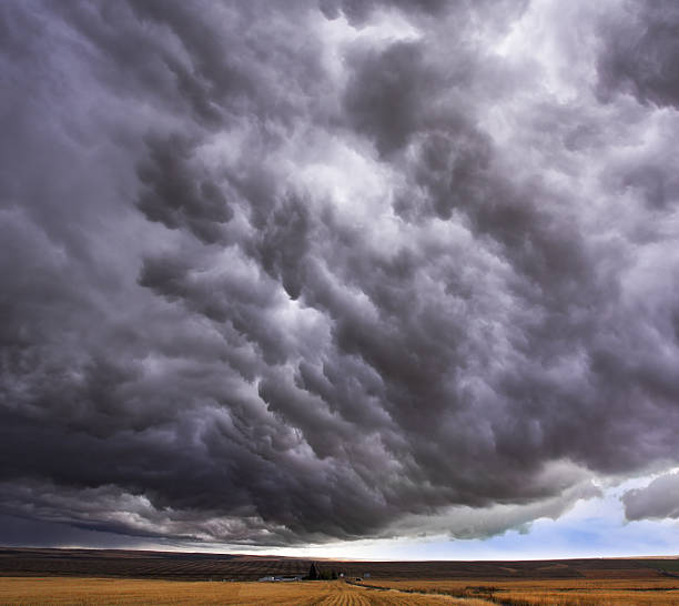 istock Enormous storm cloud above an  field 98430379