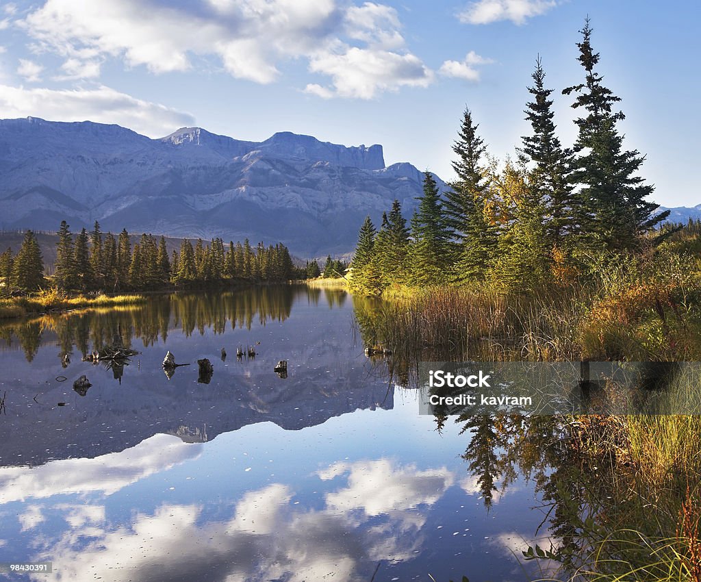 Lake et de reflets de nuages fourrure-arbres - Photo de Arbre libre de droits