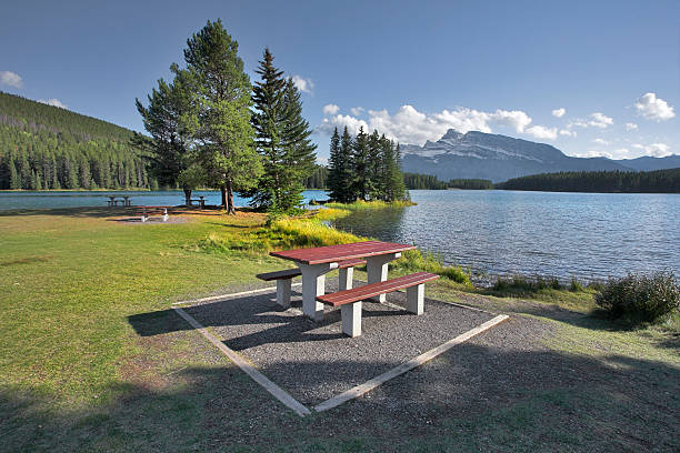 istock Wonderful place for picnic. 98430459