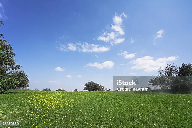 O Blossoming Hills De Costa Quente - Fotografias de stock e mais imagens de Amarelo - Amarelo, Ao Ar Livre, Azul