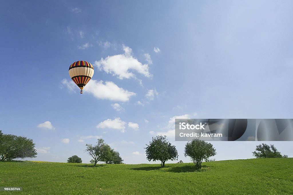 Enorme palloncino sopra meadows - Foto stock royalty-free di Albero