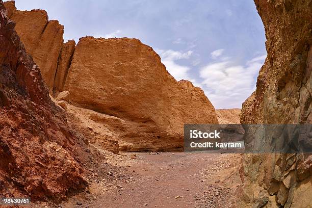 The Lonely Womantourist Stock Photo - Download Image Now - Adult, Barren, Bible