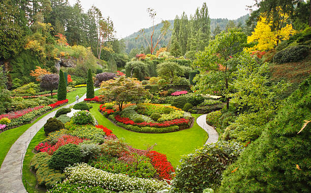 istock The Sunken-garden on island Vancouver 98430774