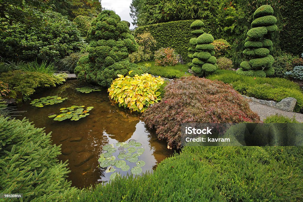 Decorative Japanese garden.  Autumn Stock Photo