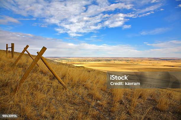 Parete Della American Prairie - Fotografie stock e altre immagini di Montana - Montana, Prateria - Zona erbosa, Cielo