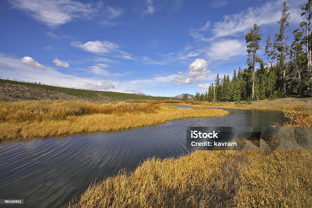 Der stream im Yellowstone National park - Lizenzfrei Bach Stock-Foto