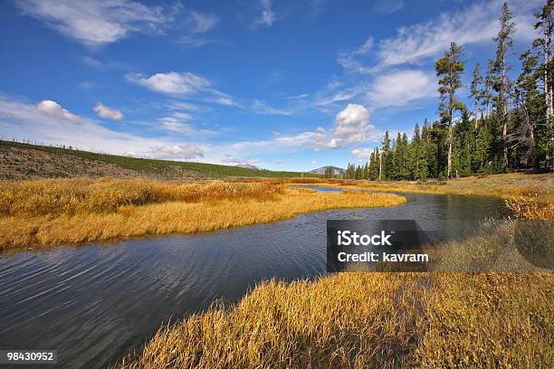 Der Stream Im Yellowstone National Park Stockfoto und mehr Bilder von Bach - Bach, Extremlandschaft, Farbbild