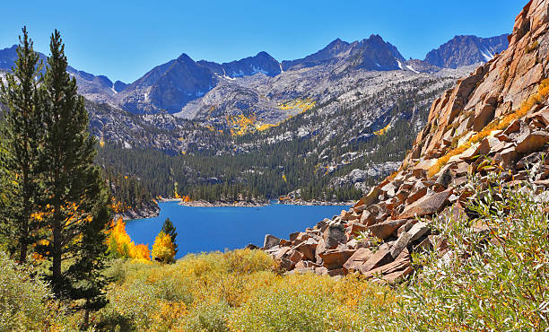 istock The fur-trees and mountain lake 98431086