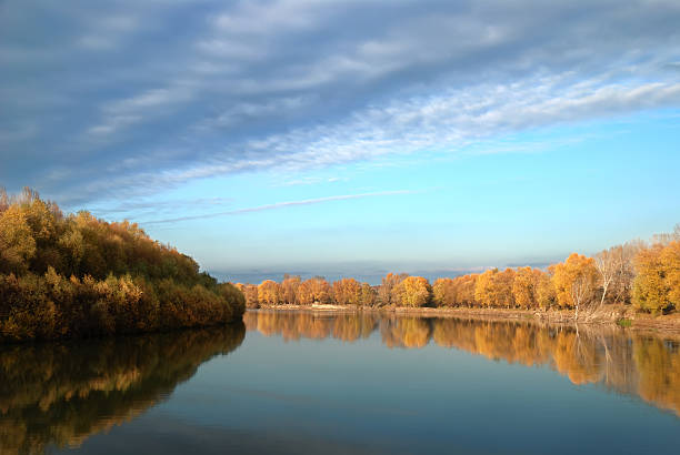 istock Landscape with trees against the sky 98431362
