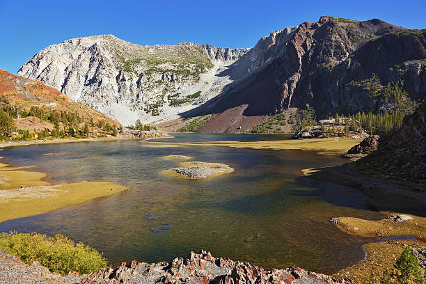 istock Picturesque shallow lake 98431430
