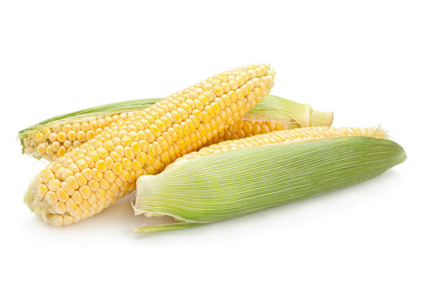 istock Raw sweet corn detail 984314512