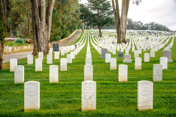 san francisco national cemetery - san francisco national military cemetery stock-fotos und bilder