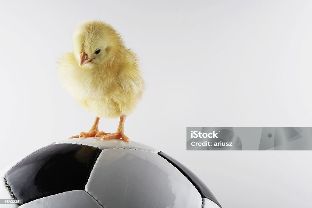 De fútbol - Foto de stock de Abril libre de derechos