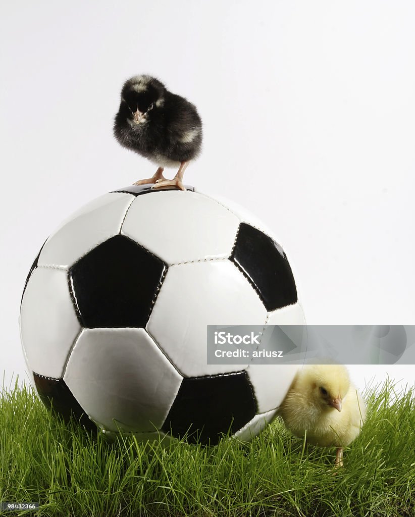 soccer  Easter Stock Photo