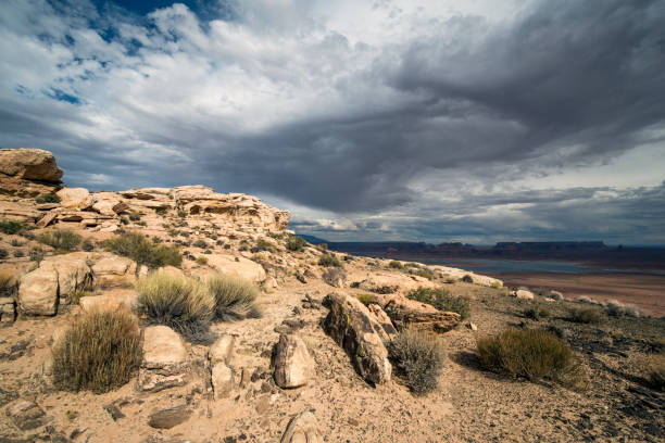 Desert Canyon Colors and Rocky Plateaus