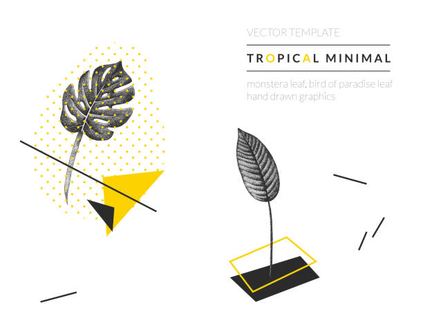 istock Modern geometrical card template with hand drawn tropical plants in vintage style. Exotic plant template for birthday, business, anniversary, wedding, party invitation, holidays. 984335482