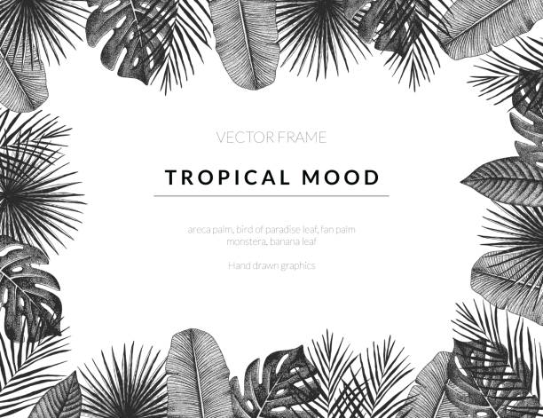 Tropical vector template background with vintage exotic plants. Hand drawn retro styled frame graphic. Tropical vector template background with vintage exotic plants. Hand drawn retro styled frame graphic. tropical climate illustrations stock illustrations