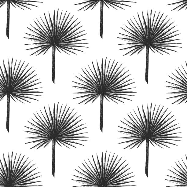Palm Fan Pattern 1,000+ Palm Leaf Fan Stock Photos, Pictures & Royalty-Free Images - iStock