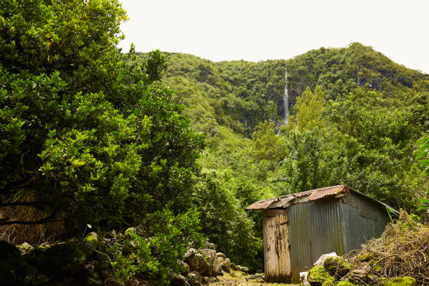 creol house, in-between, reunion island