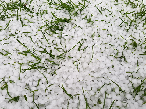 Hail on a lawn after a storm