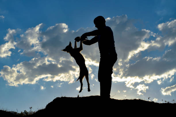 istock tiny puppies play time in the nature 984347784
