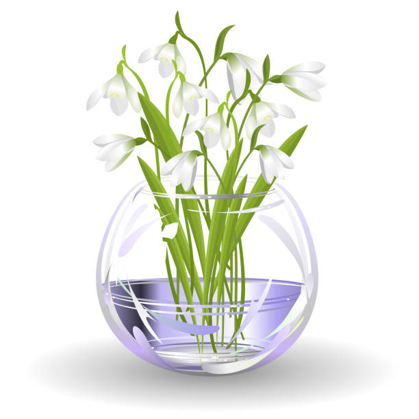 istock Snowdrop flowers in glass vase, realistic vector illustration. 984351860