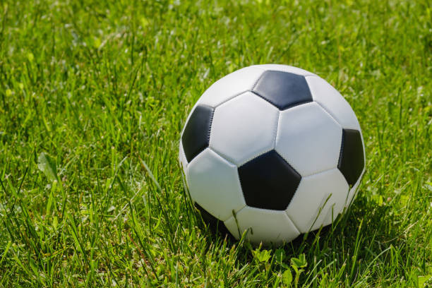 istock Traditional soccer ball on soccer field 984360512