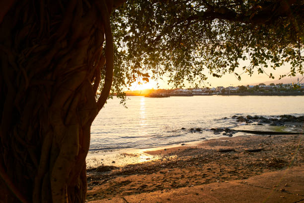 Terre-Sainte sunset, saint-pierre, reunion island