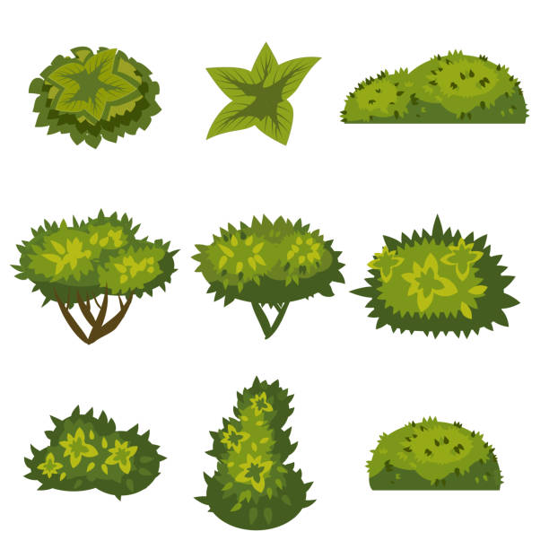 zestaw krzewów w stylu kreskówki do dekoracji na swoje prace, trawa w stylu kreskówki, zielone rośliny, wektor - moss stock illustrations