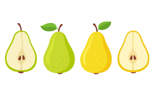 Cartoon pears set Cartoon pears set. Green and yellow pear, whole and cut in half. Isolated vector illustration. pear stock illustrations