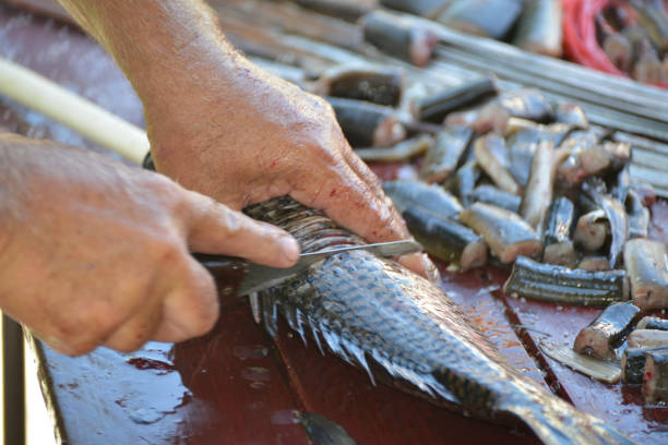 istock Chef cuts Carp to smoke it on the fire 984441810