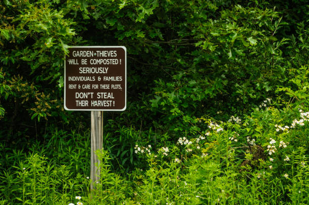 Community Garden Warning A warning sign for garden thieves at a Cape Cod Community garden community garden sign stock pictures, royalty-free photos & images