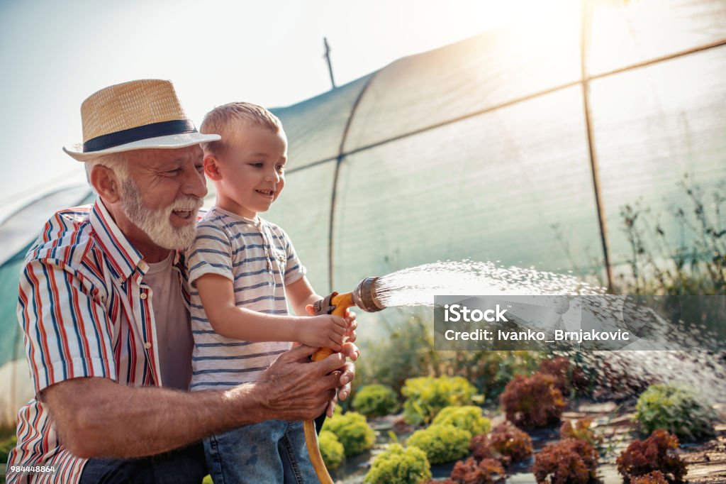 Avô com seu neto trabalhando no jardim - Foto de stock de Avós e Avôs royalty-free