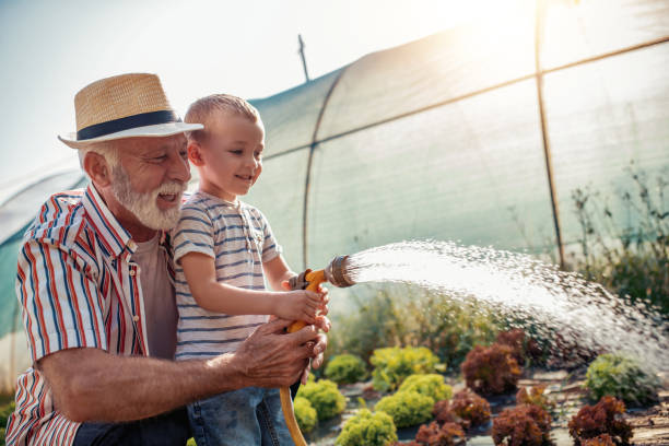 дедушка с внуком, работающим в саду - grandfather стоковые фото и изображения