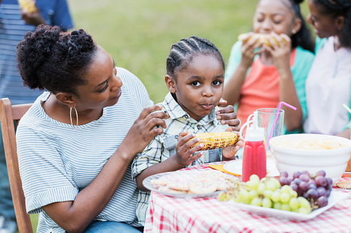 A little 3 year old African-American boy sitting on his mother's lap at a backyard cookout, eating corn on the cob.