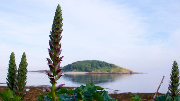 Looking towards the island over mirror calm water