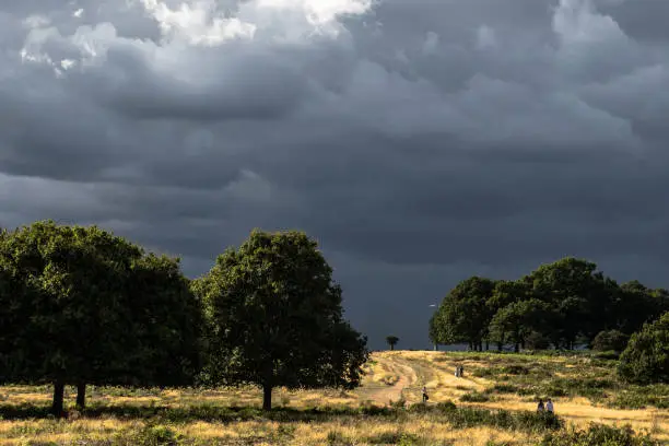 The view in Richmond Park London just before the storm