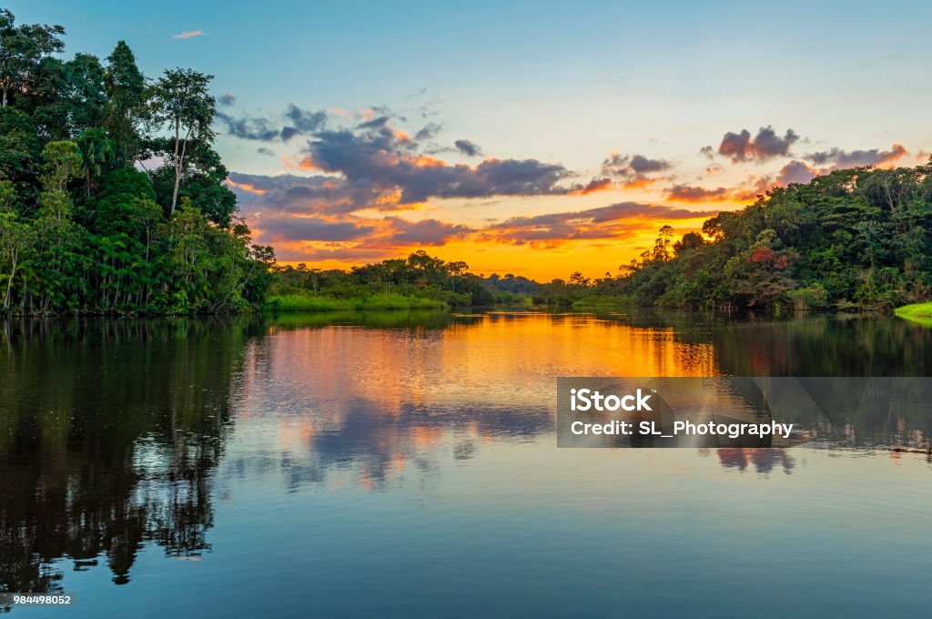 Sunset in the Amazon Rainforest River Basin Reflection of a sunset by a lagoon inside the Amazon Rainforest Basin. The Amazon river basin comprises the countries of Brazil, Bolivia, Colombia, Ecuador, Guyana, Suriname, Peru and Venezuela. Amazon Region Stock Photo