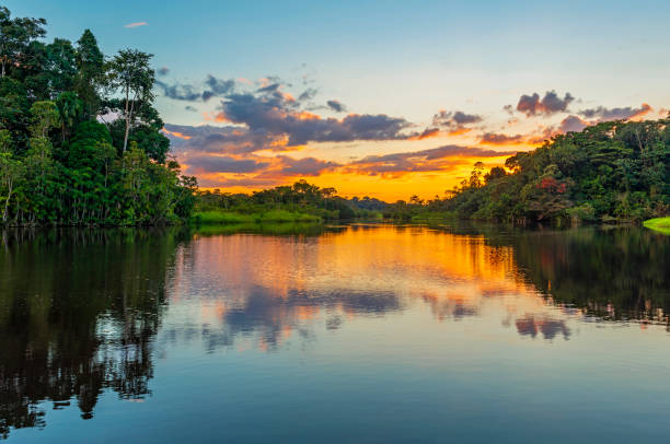 Sunset in the Amazon Rainforest River Basin Reflection of a sunset by a lagoon inside the Amazon Rainforest Basin. The Amazon river basin comprises the countries of Brazil, Bolivia, Colombia, Ecuador, Guyana, Suriname, Peru and Venezuela. amazon river stock pictures, royalty-free photos & images
