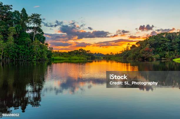 Sunset In The Amazon Rainforest River Basin Stock Photo - Download Image Now - Amazon Region, Amazon River, Swamp