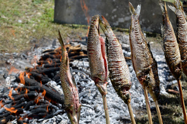 istock Carps are baked in a bonfire at a picnic 984498514