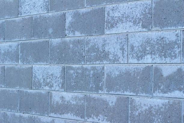 fundo de parede exterior bloco de cimento com interessante coloração cinza e branco - efflorescent - fotografias e filmes do acervo
