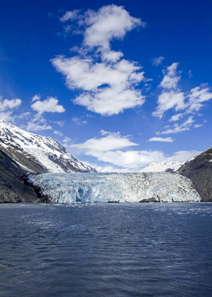 istock Barry Glacier, Barry Arm, Alaska 984515896